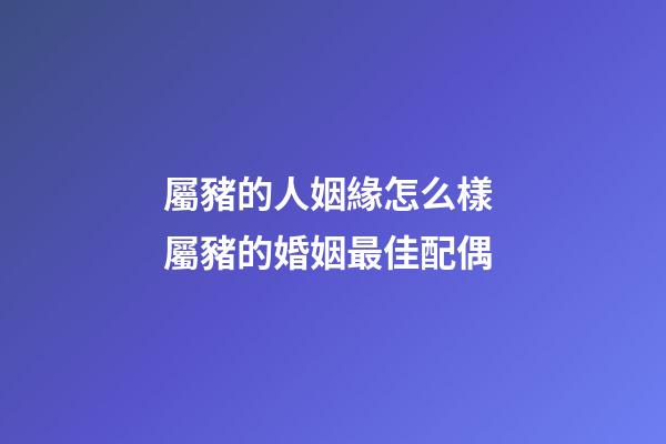 屬豬的人姻緣怎么樣 屬豬的婚姻最佳配偶-第1張-觀點-玄機派
